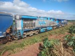 RUMO 9826